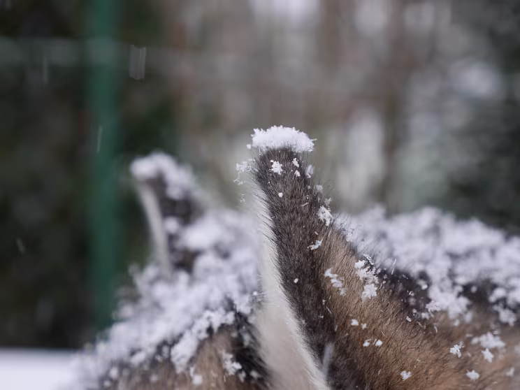 Null Null Sie...Schnee