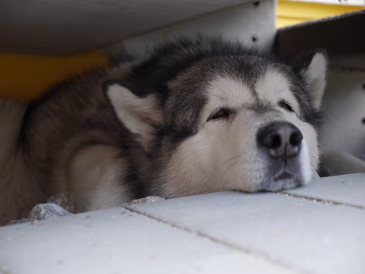 Höhlenerkundung Bond